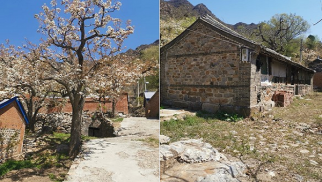 威廉希尔集团受邀前往北京市平谷区核桃洼村就乡村振兴合作项目进行实地考察