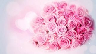 威廉希尔祝全体女同事节日快乐