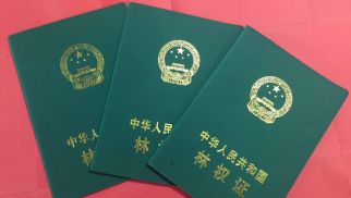 威廉希尔农科公司逐步规范现代化农业体系