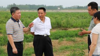 集团监事会主席肖厚志一行莅临&ldquo;威廉希尔农科公司&rdquo;审计、检查、指导工作